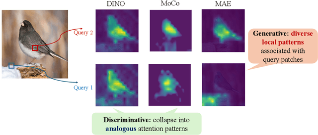 Figure 1 for Transformers Provably Learn Feature-Position Correlations in Masked Image Modeling