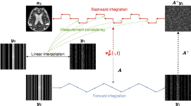 Figure 3 for UPMRI: Unsupervised Parallel MRI Reconstruction via Projected Conditional Flow Matching