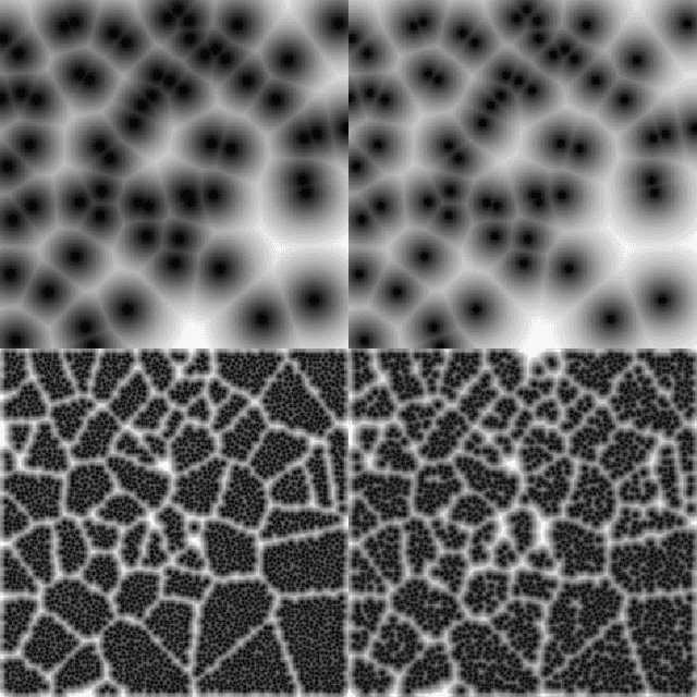 Figure 3 for Evaluation of Machine-generated Biomedical Images via A Tally-based Similarity Measure