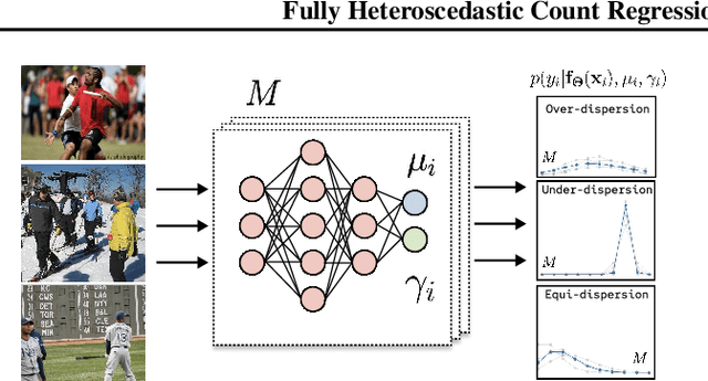 Figure 3 for Flexible Heteroscedastic Count Regression with Deep Double Poisson Networks