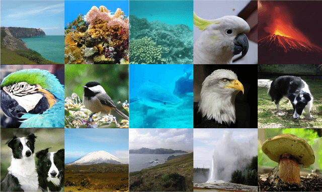 Figure 4 for ARINAR: Bi-Level Autoregressive Feature-by-Feature Generative Models