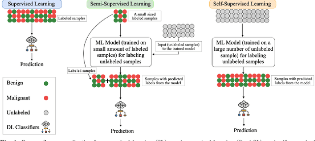 Figure 1 for Exploring learning environments for label\-efficient cancer diagnosis