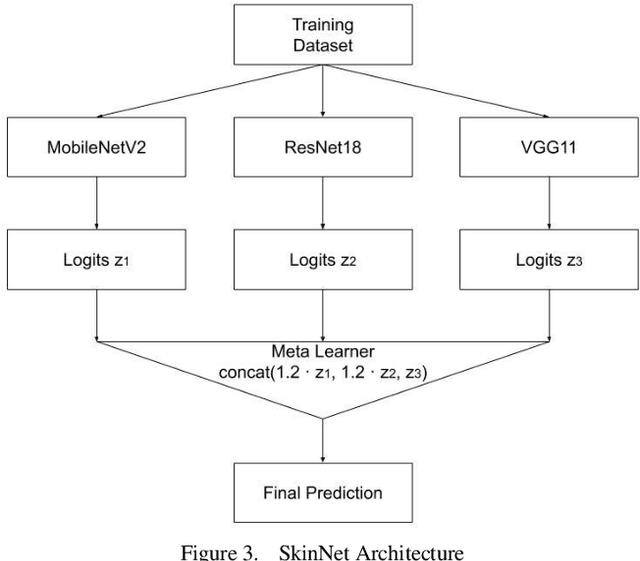 Figure 3 for Enhancing Skin Lesion Diagnosis with Ensemble Learning
