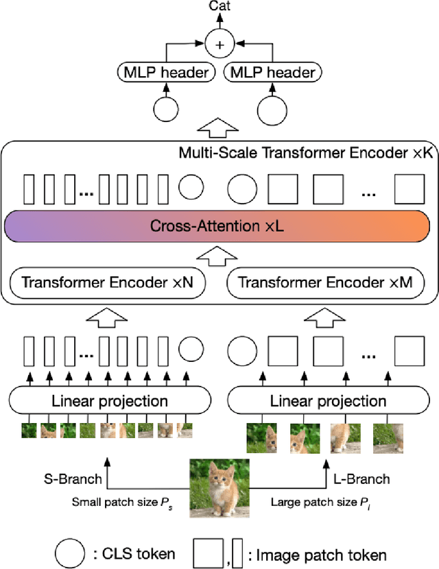 Figure 3 for Brain Tumor Classification using Vision Transformer with Selective Cross-Attention Mechanism and Feature Calibration