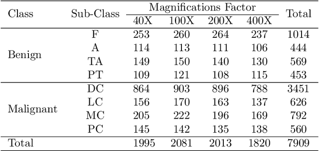 Figure 1 for MultiNet with Transformers: A Model for Cancer Diagnosis Using Images