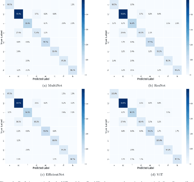 Figure 3 for MultiNet with Transformers: A Model for Cancer Diagnosis Using Images