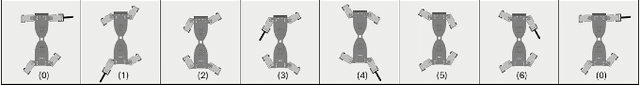 Figure 2 for Coordinating Spinal and Limb Dynamics for Enhanced Sprawling Robot Mobility