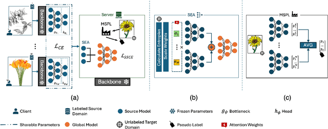 Figure 1 for One-Shot Federated Unsupervised Domain Adaptation with Scaled Entropy Attention and Multi-Source Smoothed Pseudo Labeling