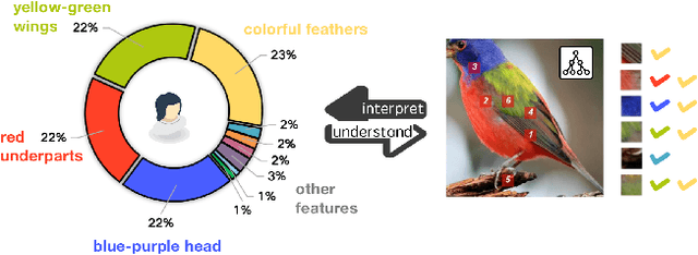 Figure 1 for ViTree: Single-path Neural Tree for Step-wise Interpretable Fine-grained Visual Categorization