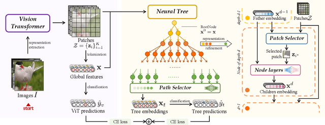 Figure 3 for ViTree: Single-path Neural Tree for Step-wise Interpretable Fine-grained Visual Categorization