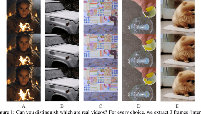Figure 1 for Distinguish Any Fake Videos: Unleashing the Power of Large-scale Data and Motion Features