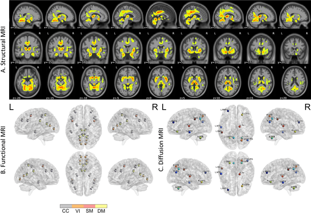Figure 4 for Multimodal MRI-based Detection of Amyloid Status in Alzheimer's Disease Continuum