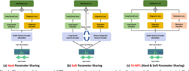 Figure 1 for Tri-MTL: A Triple Multitask Learning Approach for Respiratory Disease Diagnosis
