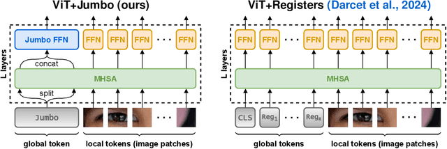 Figure 3 for Simpler Fast Vision Transformers with a Jumbo CLS Token