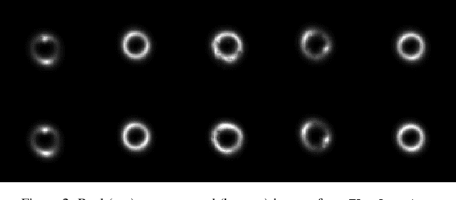 Figure 3 for FlowLensing: Simulating Gravitational Lensing with Flow Matching