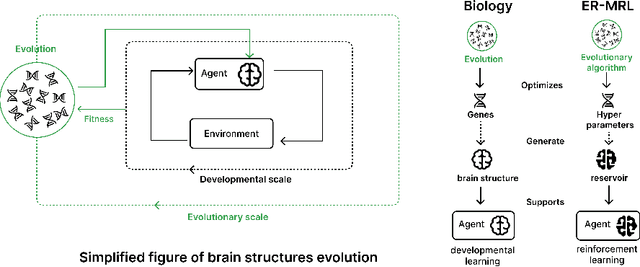 Figure 1 for Evolving Reservoirs for Meta Reinforcement Learning