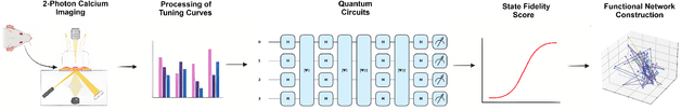 Figure 1 for Quantum State Fidelity for Functional Neural Network Construction