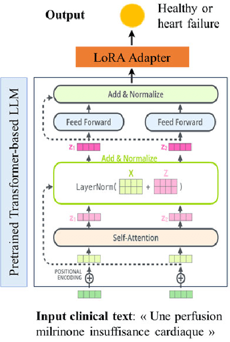 Figure 1 for The Impact of LoRA Adapters for LLMs on Clinical NLP Classification Under Data Limitations