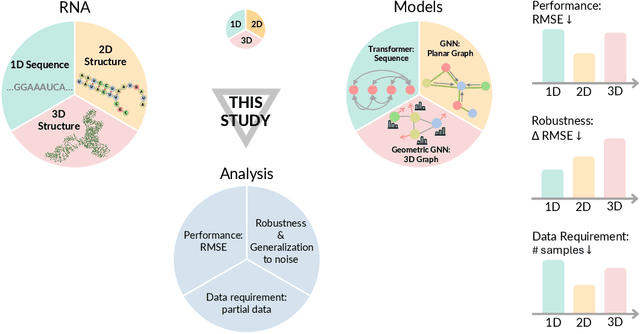 Figure 1 for Beyond Sequence: Impact of Geometric Context for RNA Property Prediction
