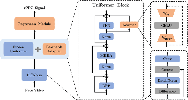 Figure 3 for Continual Learning for Remote Physiological Measurement: Minimize Forgetting and Simplify Inference