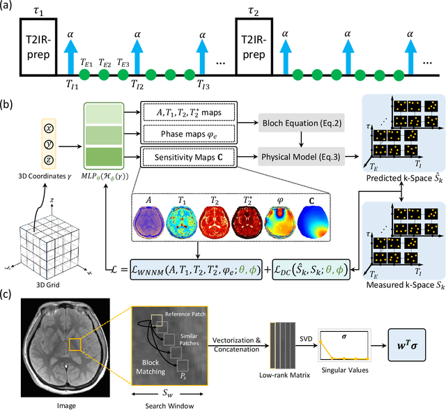 Figure 1 for Coordinate-Based Neural Representation Enabling Zero-Shot Learning for 3D Multiparametric Quantitative MRI