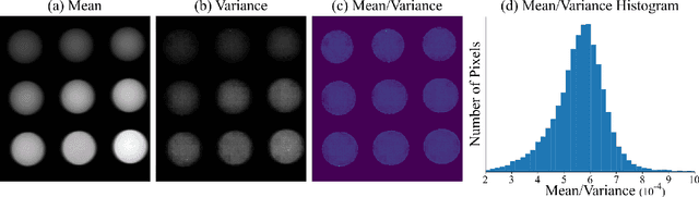 Figure 1 for Video Denoising in Fluorescence Guided Surgery