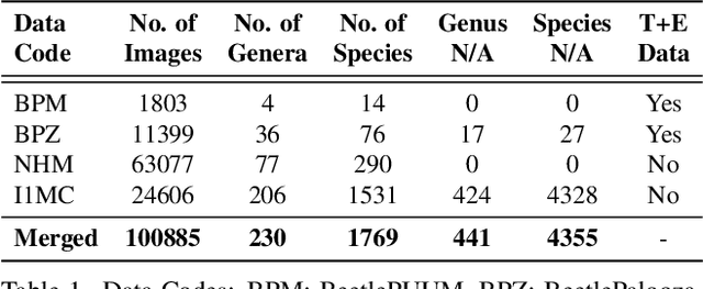 Figure 2 for BeetleVerse: A study on taxonomic classification of ground beetles