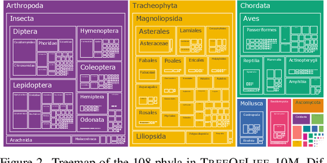 Figure 3 for BioCLIP: A Vision Foundation Model for the Tree of Life