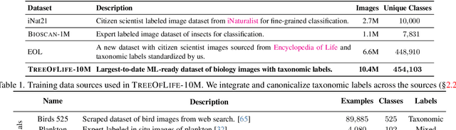 Figure 2 for BioCLIP: A Vision Foundation Model for the Tree of Life
