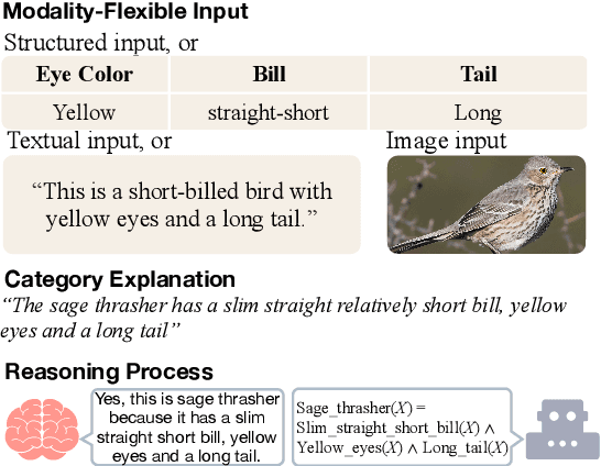 Figure 1 for Zero-Shot Classification by Logical Reasoning on Natural Language Explanations