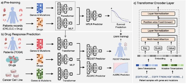Figure 3 for Personalised Drug Identifier for Cancer Treatment with Transformers using Auxiliary Information