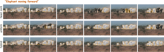 Figure 3 for Enhancing Sa2VA for Referent Video Object Segmentation: 2nd Solution for 7th LSVOS RVOS Track