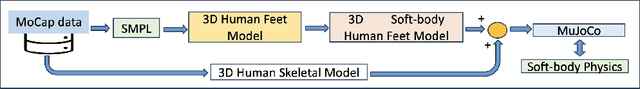 Figure 1 for Personalised 3D Human Digital Twin with Soft-Body Feet for Walking Simulation