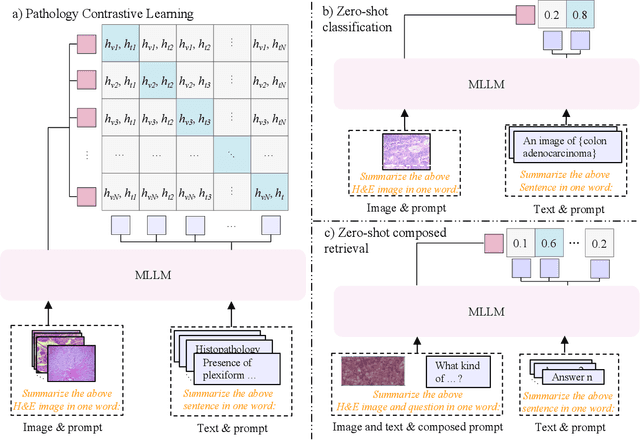 Figure 3 for MLLM4PUE: Toward Universal Embeddings in Computational Pathology through Multimodal LLMs