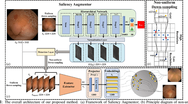 Figure 1 for Learn From Zoom: Decoupled Supervised Contrastive Learning For WCE Image Classification