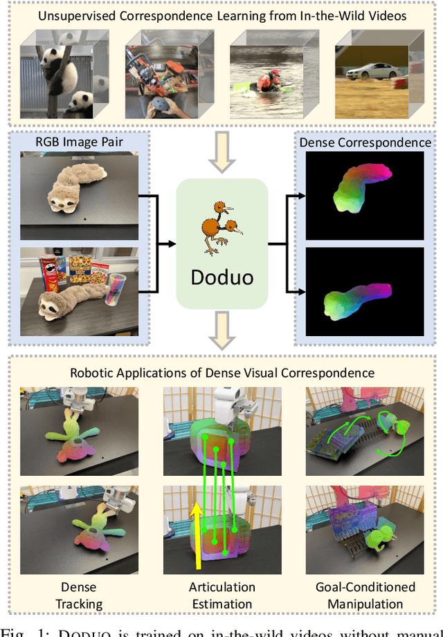 Figure 1 for Doduo: Learning Dense Visual Correspondence from Unsupervised Semantic-Aware Flow