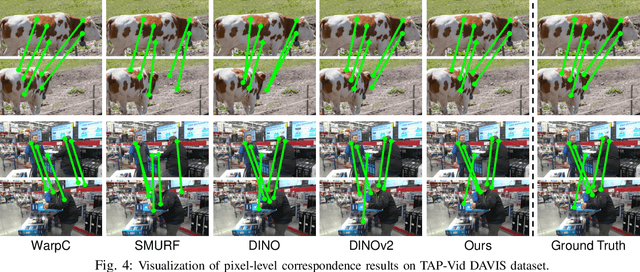Figure 4 for Doduo: Learning Dense Visual Correspondence from Unsupervised Semantic-Aware Flow