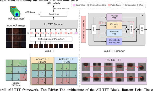 Figure 3 for AU-TTT: Vision Test-Time Training model for Facial Action Unit Detection