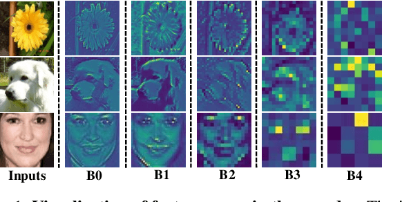 Figure 1 for EqGAN: Feature Equalization Fusion for Few-shot Image Generation