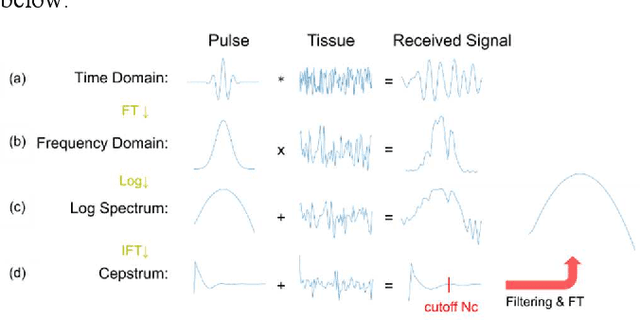 Figure 2 for Improved Ultrasound Attenuation Coefficient Estimation Using Spectral Normalization on Local Interference-Free Single-Scatterer Power Spectrum
