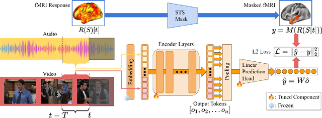 Figure 1 for The One Where They Brain-Tune for Social Cognition: Multi-Modal Brain-Tuning on Friends