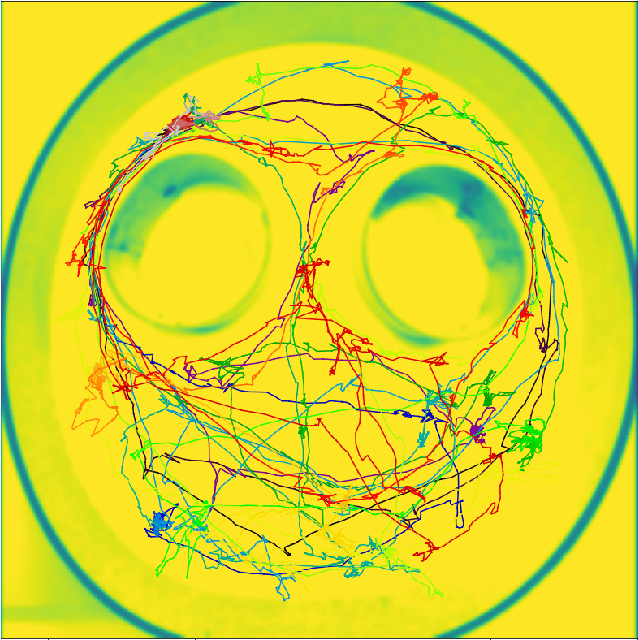 Figure 4 for Topology of cognitive maps