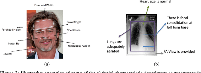 Figure 4 for Aligning Characteristic Descriptors with Images for Human-Expert-like Explainability