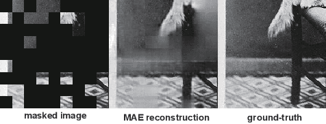Figure 4 for Learning imaging mechanism directly from optical microscopy observations