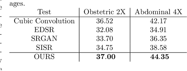 Figure 1 for Learning-based Framework for US Signals Super-resolution