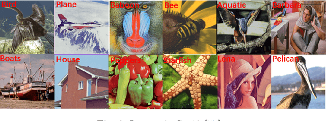 Figure 3 for A Theoretically Guaranteed Quaternion Weighted Schatten p-norm Minimization Method for Color Image Restoration