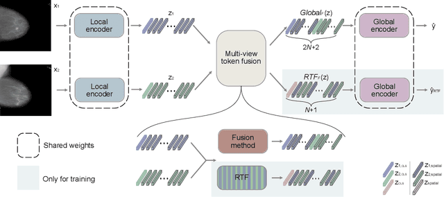 Figure 3 for Random Token Fusion for Multi-View Medical Diagnosis