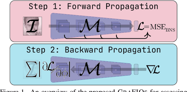 Figure 1 for GraFIQs: Face Image Quality Assessment Using Gradient Magnitudes