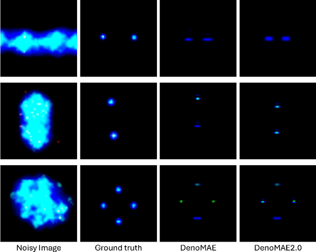 Figure 2 for DenoMAE2.0: Improving Denoising Masked Autoencoders by Classifying Local Patches