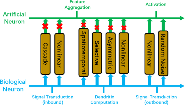 Figure 3 for Towards NeuroAI: Introducing Neuronal Diversity into Artificial Neural Networks